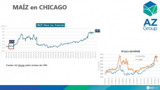 Maíz: El ingreso de la cosecha presiona los valores en Argentina, con Lorena D´Angelo - Clínica de Granos