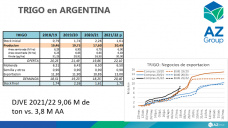 Trigo: Sin nuevas DJVE se pierden los buenos precios internacionales, con Lorena D´Angelo - Clínica de Granos