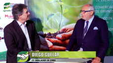 Diego Guelar ex Embajador en China, EEUU, Brasil, UE, y como exportar más productos agropecuarios