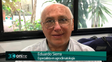 Un fenómeno Neutral sin definir que puede pasar a El Niño o...a Niña; con Eduardo Sierra