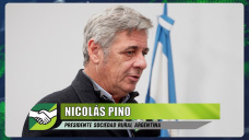 Cómo transitará el Campo los 150 días que faltan; con Nicolás Pino - Pte. SRA