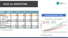 Maíz: Los precios mejoran en argentina, pero bajan en Chicago; con Lorena D´Angelo - Clínica de Granos