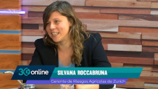 Más foco en los Seguros agrícolas, por clima y por lo que pueda venir; con S. Roccabruna - Zurich