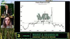 ¿Podemos mejorar los márgenes Agrícolas pese a la caída de precios?; con Mariela Brandolin - analista