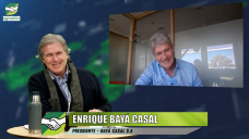 Buenos precios y relación INSUMO / producto, ¿qué compras conviene anticipar?; con Enrique Bayá Casal - agrónomo