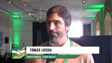 Hablemos de Maíz, ¿cae el área o son solo rumores?; con Tomás Liceda - Illinois