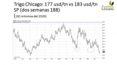 Trigo: en Chicago ya quebró los mínimos del 2020 y localmente trata de resistir, con Paulina Lescano - Clínica de Granos