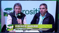 ¿Pueden faltar insumos para la siembra de gruesa por escasez de divisas?; con Federico Landgraf - Dir. Casafe