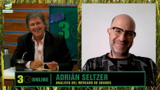 Una cosecha pobre, y qué manejo comercial hacer para no perder más; con Adrián Seltzer - analista