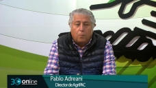 30 online B2: ¿Vender la Soja a U$S 315 o esperar a que suba?, ¿y el Maíz?; con Pablo Adreani
