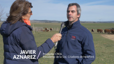 Uruguay TV: La ganadería en Uruguay según un productor CREA y de Hereford; con J. Aznarez