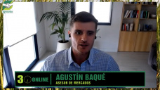 ¿Cómo vender bien Soja y Maíz 