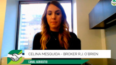 Demanda retraída y 200 Mill Tons de Soja dando vuelta por el Mundo; con Celina Mesquida