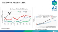 Trigo: afilando los números para el 22/23, con Lorena D´Angelo - Clínica de Granos