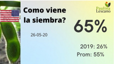 Soja: otra semana con arranque optimista, bienvenido!, con Paulina Lescano - Clínica de Granos