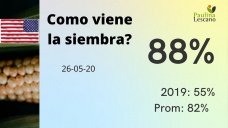 Maíz: casi, casi terminan de sembrar las 39 mill has en USA, salvo algunas excepciones sin demasiadas complicaciones, con Paulina Lescano - Clínica de Granos