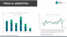 Trigo: La cosecha presiona los precios, pero el TC diferencial ayuda; con Lorena D´Angelo - Clínica de Granos