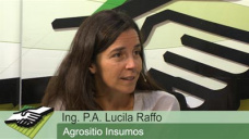 TV: ¿Con esta malaria, hay productores comprando semillas y fertilizantes?; con L. Raffo