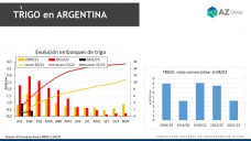 Trigo: Baja cosecha, bajos embarques, con Lorena D´Angelo - Clínica de Granos