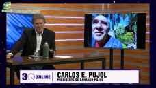 Liniers y un mercado opacado sin piso por cierre de exportaciones; con Carlos Pujol - consignatario