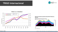 Trigo: El ataque de Rusia ayuda a los precios, con Lorena D´Angelo - Clínica de Granos