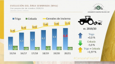 Trigo: buenas expectativas productivas locales, mientras que no nos modifiquen nuevamente las reglas de juego, con Paulina Lescano - Clínica de Granos