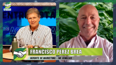 Manejo, genética y tendencias en Maíz tardío en año Niño; con Paco Pérez Brea - NK Semillas