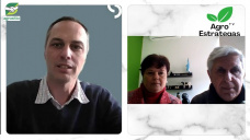 Procesos exitosos de transformación y delegación en Campos familiares; con M. Alesso y R. Beltramino