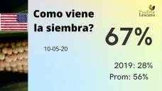 Maíz: demanda lastimada, y la cosecha en USA arranca con todo, con Paulina Lescano - Clínica de Granos