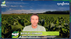 Innovación + insecticidas para Chicharrita + bioestimulantes anti-stres; con N. Gennaro - Syngenta