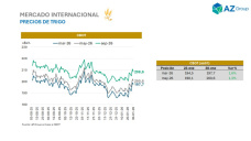 Trigo: En un contexto de gran oferta global, mirar la próxima campaña es necesario; con Clara Treachi - Clínica de Granos