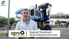 ¿Cómo se trabaja la cosecha mecánica en economías regionales? ¿Cómo se cosechan vid y olivo?; con G. Tronchoni - New Holland