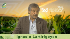 Ignacio Lartirigoyen el empresario que encara la tormenta K con la frente en alto