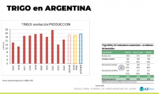 Trigo: Con mejores perspectivas productivas siguen bajando los precios; con Lorena D´Angelo - Clínica de Granos 