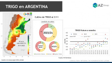 Trigo: Mejoró el clima pero no las perspectivas productivas, con Lorena D´Angelo - Clínica de Granos