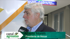 TV: ¿Se viene un Boom del Maíz cercano a 50 Mill Tn de producción?; con A. Morelli - Maizar
