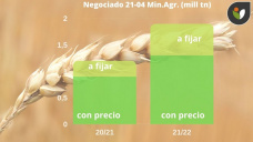 Trigo: definiéndose la producción en el Hemisferio Norte los precios van acompañando al maíz, con Paulina Lescano - Clínica de Granos