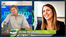 Todas las dudas sobre stocks y precios de soja y maíz en el mundo; con Celina Mesquida