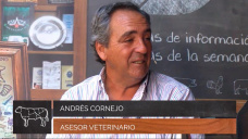 Aplicando el Concepto Global de Fertilidad para alcanzar +85% de destete; con Andrés Cornejo