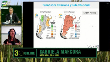 Neutralidad veraniega con pasajes de sistemas frontales lluviosos; con Gabriela Marcora - clima SMN