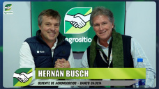 Campaña agrícola ajustada: cómo financiarse con tasas positivas y evitar riesgos; con Hernán Busch - Galicia 