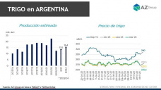 Trigo: Se sigue confirmando una caída de oferta local 23/24, ¿qué pasará?; con Catalina Ferrari - Clínica de Granos