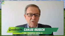 El CEO de Frigorífico Gorina y los nuevos mercados de calidad de carnes; con Carlos Riusech