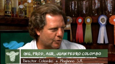 Ganad.TV B3: ¿Cómo se están acomodando feedlots y ganaderos con Maíz más caro?; con J. P. Colombo