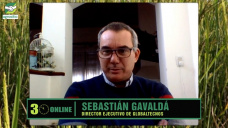 ¿Cómo mejorar el valor de los Granos con dólar creciente?; con Sebas Gavaldá - Globaltecnos