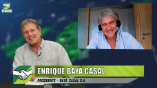 Estamos en uno de los mejores momentos del Campo para comprar Insumos; con Enrique Baya Casal - agrónomo