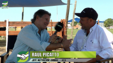 Programas de nutrición delineados para cada sistema Ganadero y Tambero; con Raúl Picatto - ACA
