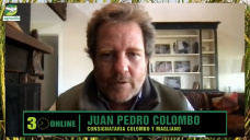Remates Nacionales de reproductores exitosos con precios siguiendo a la carne; con Juan P. Colombo - consignatario