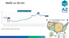 Maíz: con la atención en el clima en EE.UU. pero con oferta local, con Lorena D´Angelo - Clínica de Granos
