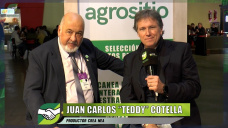 Manejando campos en ambientes inestables siendo sustentables y rentables; con 